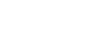 Customer Logo