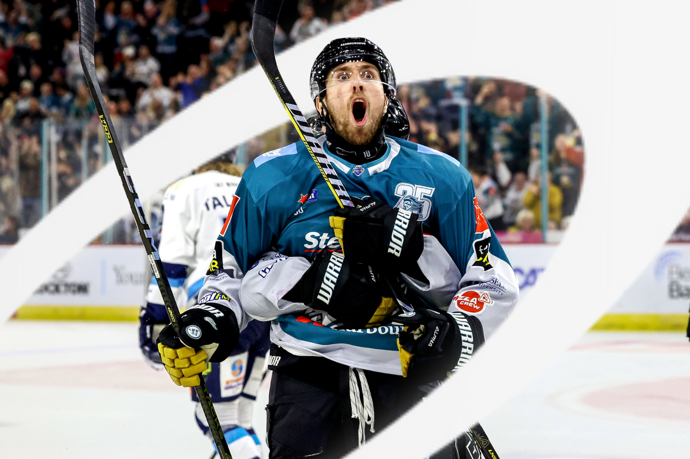 SSE Arena venue security